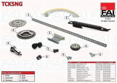 FAI AUTOPARTS tck5ng -  Комплект цепи привода распредвала